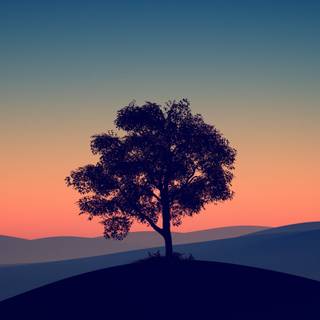 4k tablets wallpaper