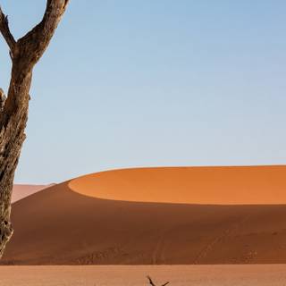 Sand dunes 4k wallpaper
