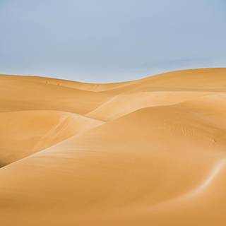 Sand dunes 4k wallpaper