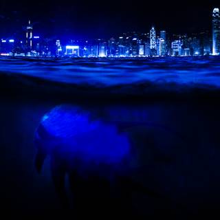 Sea monster 4k wallpaper