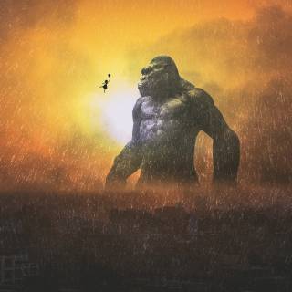 Kong 4k HD wallpaper