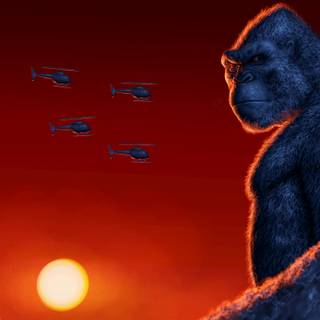 Kong 4k HD wallpaper