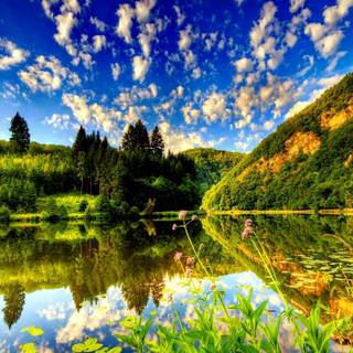 Nature pixel wallpaper