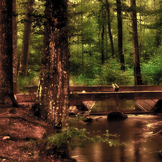 Nature pixel wallpaper