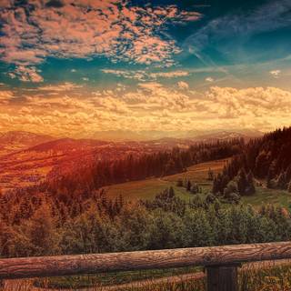 Happy nature wallpaper