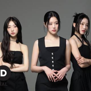 Loossemble wallpaper