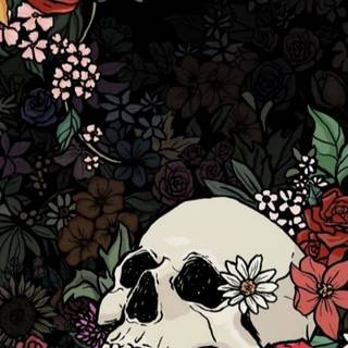 Emo skeleton mobile wallpaper