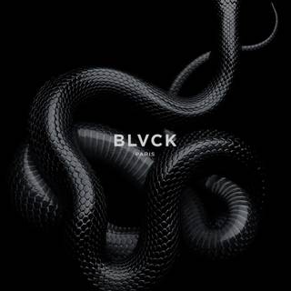 iPhone snake wallpaper