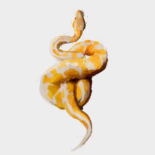 iPhone snake wallpaper