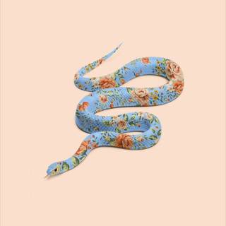 iPhone snake wallpaper