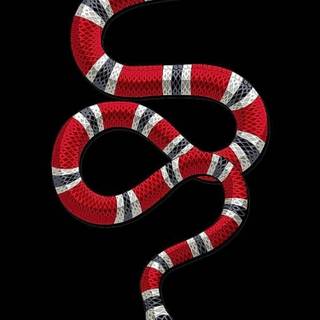 iPhone snake wallpaper
