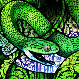 iPhone snake wallpaper