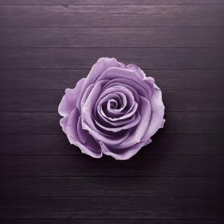 Purple flower phone wallpaper