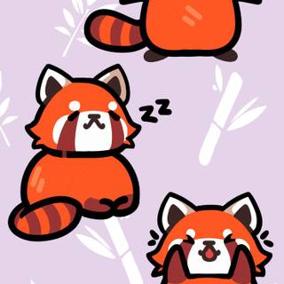 Red panda iPhone wallpaper