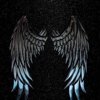 Wings iPhone wallpaper