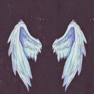 Wings iPhone wallpaper