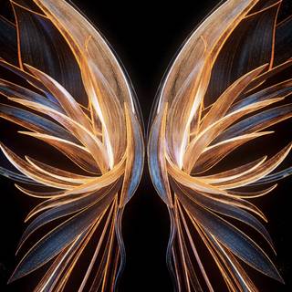 Wings iPhone wallpaper