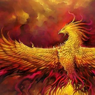 Wings iPhone wallpaper