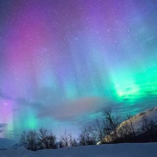 iPhone northern lights wallpaper