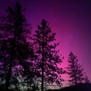 iPhone northern lights wallpaper