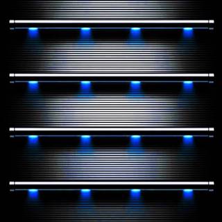 iPhone 13 shelf wallpaper