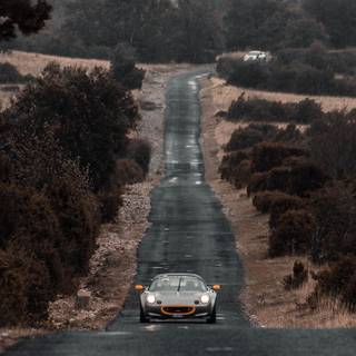 Lotus car phone wallpaper