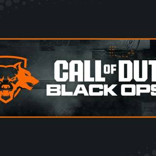 Call of Duty Black Ops 6 wallpaper