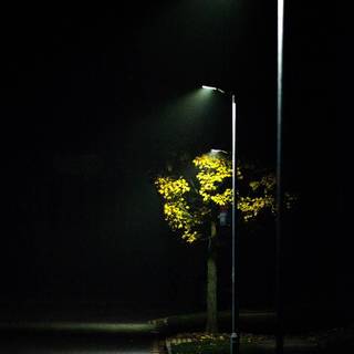 Street light iPhone wallpaper