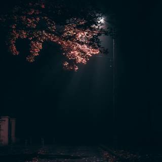 Street light iPhone wallpaper