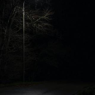 Street light iPhone wallpaper