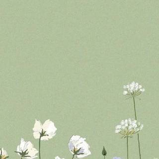 Green minimalist iPhone wallpaper