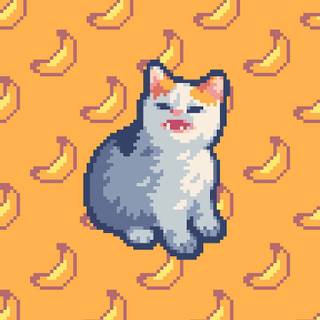 Banana phone wallpaper