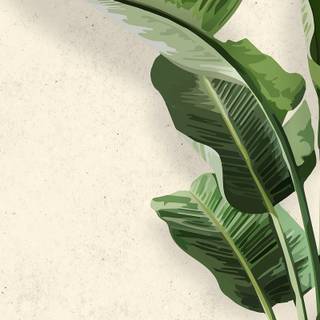 Banana phone wallpaper