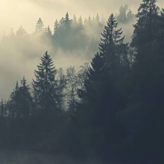 Grey aesthetic phone wallpaper