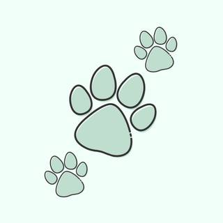 iPhone puppy wallpaper