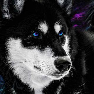 iPhone puppy wallpaper