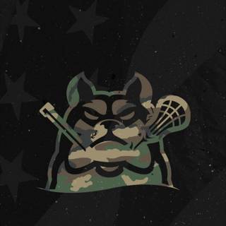 Lacrosse iPhone wallpaper