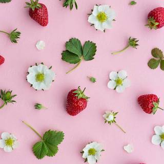 Pink fruit wallpaper