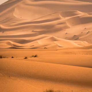 Sahara phone wallpaper