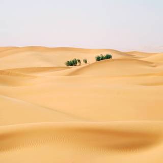 Sahara desert desktop wallpaper