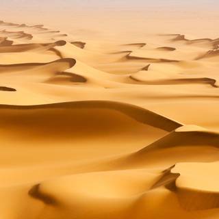 Sahara desert desktop wallpaper