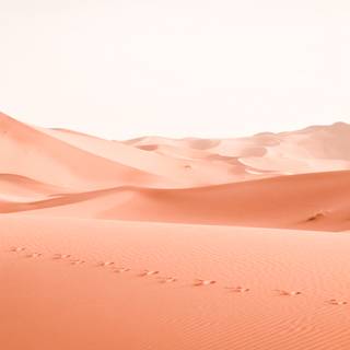 Sahara desert desktop wallpaper