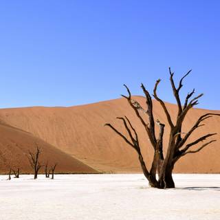 Sahara desert desktop wallpaper