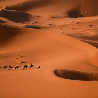 Sahara desert desktop wallpaper