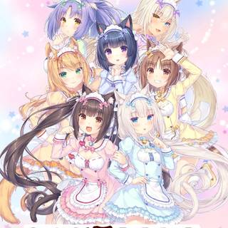 Nekopara phone wallpaper