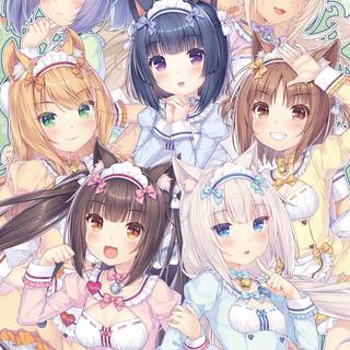 Nekopara phone wallpaper