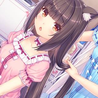 Nekopara phone wallpaper