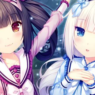 Nekopara phone wallpaper