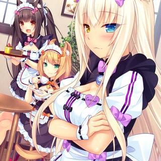 Nekopara phone wallpaper
