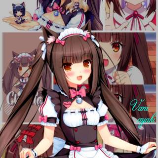 Nekopara phone wallpaper